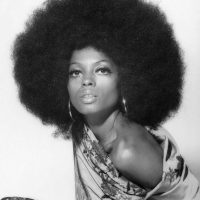 70s Black Female Hairstyles